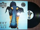 BIG COUNTRY-WHY THE LONG FACE (LP,VINYL) (LIMITED EDITION)