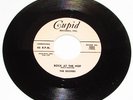 THE DUSTERS: ROCK AT THE HOP / SHES MINE Rockabilly Repro 45 NM