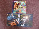 TYGERS OF PAN TANG / ANIMAL INSTINCT      NOTVD  1 LP