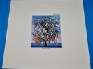 talk talk: spirit of eden LP 1988 DUTCH RARE parlophone excellent copy