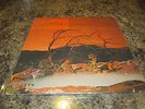 C.A. Quintet 'Trip Thru Hell' LP ORIGINAL Candy Floss CF-7764S VG WARPED