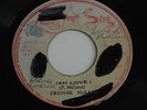 FREDDY McKAY - JAH LOVE I - 7