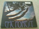 RARE BIRD epic forest UK POLYDOR ORIGINAL PROG LP WITH 7