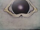 Leftfield - Leftism (Double 12' Vinyl Album)