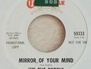 WE the PEOPLE- *MIRROR OF YOUR MIND*   7