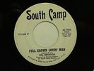 northern soul BILL BRANDON Full Grown Lovin' Man SOUTH CAMP DJ hear soundclip
