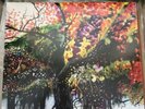 Out Of Print Jason Isbell And The 400 Unit S/T Drive By Truckers LP Vinyl