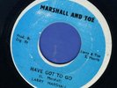 1263 LARRY MARSHALL-HAVE GOT TO GO-MARSHALL AND TOE--REGGAE 45 7