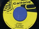 1263 UNIQUES & TOMMY MCCOOK-JOURNEY-JERK TIME-CALTONE-1966 REGGAE 45 7