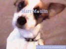 marc moulin - entertainment (LP NEU)