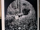 SEARCH PARTY Montgomery Chapel (Century 32013) Original press Near Mint LP Psych