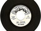 60'S FUZZ GARAGE - THE SEARCH- 