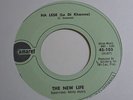 RARE 45 - THE NEW LIFE HA LESE / BACKWOODS ANNIE GARAGE Rock BEAT Listen