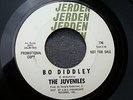 60s GARAGE PUNK--JUVENILES--BO DIDDLEY / YES I BELIEVE--JERDEN 770--PROMO
