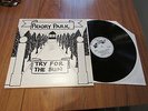 PRIORY PARK, TRY FOR THE SUN-WILD DOG PRIVATE PRESS signed RARE FOLK UK LP 1970s