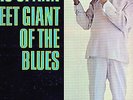 OTIS SPANN  SWEET GIANT OF THE BLUES     BLUESTIME LP  USA