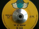 Big Black - Try My Bugaloo / Two Moonlins And Mother- Thrush Funk Soul 45