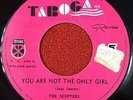 Panama Latin Sweet Soul 45 Combos The Scepters