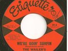 WAILERS 45  We're Goin' Surfin / Shakedown - NM