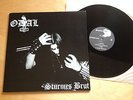 #DAL Sturmes Brut Bilskirnir ABSURD Satanic Warmaster BURZUM Totenburg GOATMOON