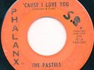 Cool 66 Garage Punk THE PASTELS - Cause I Love You / Don't Cha Know on PHALANX