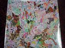 Lightning Bolt Earthly Delights New Vinyl Record