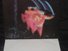 BLACK SABBATH-Paranoid LP RARE 1971 US WHITE LABEL PROMO CLEAN