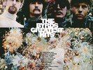 THE BYRDS 