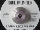 GREAT FUNK 2SIDER CAMILLE BOB Brother brown SOUL UNLIMITED LISTEN