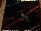 Chameleon Techno-Color LP Record. Rare Mpls Bar Band. AOR Rock. 1982 Yanni