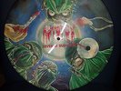 AUTOPSY Severed Survival Picture LP Superrarer Klassiker