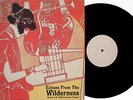 ECHOES FROM THE WILDERNESS LP 1966-67 1st Paranoid Vinyl PARA001 Mod Freakbeat