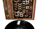 MAYFLY LP Vinyl G/Fold 1973 +Bonus Rarities Obscure Beautiful Baroque Pop Psych