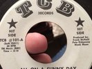 The Counts: All On A Sunny Day / Montezumas Revenge 45 TCB Label Obscure Listen