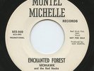 Hear - Rare Rock & Roll Novelty 45- Mohawk & the Red Necks- Enchanted Forest- M-
