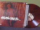 Box Car Racer 