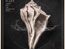 Robert Plant: Lullaby And...The Ceaseless Roar - 3xVINYL NEU