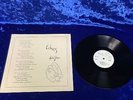 Michel Johnson - Echoes ? RARE FEMME XIAN PRIVATE FOLK PSYCH DAVE BIXBY MICHIGAN