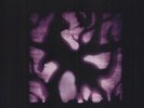Mazzy Star - Seasons of Your Day [New Vinyl]