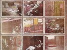 TRINITY 'ROCK IN THE GHETTO' UK LP