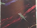Chameleon Techno-Color LP Record. Rare Mpls Bar Band. AOR Rock. 1982 Yanni