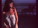 Linda Ronstadt - Hasten Down The Wind On 180g Vinyl LP