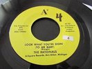 THE RATIONALS RARE MICHIGAN  GARAGE ON A2 A2-101 LOOK WHAT YOU'RE DOIN'