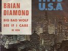 BRIAN DIAMOND & CUTTERS Big Bad Wolf 1965 RARE Germany + PS beat