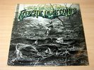EX   Peter Finger/Acoustic Rock Guitar/1977 Kicking Mule LP