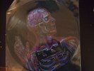 Tool Lateralus promo sampler picture disc LP vinyl Maynard Keenan