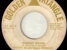 Dickie Wonder Nobody Knows Golden Triangle Northern Hear It