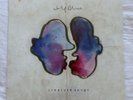 Wolf Alice Creature Songs 10