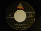Prodical Sons 45 LONG HAIR BLUES bw I'VE A FUNNY KIND OF FEELING VG- Michigan