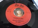 PRIVATE PROPERTY OF DIGIL Sunshine Flames 1967 COOL JANGLE GARAGE PSYCH 45 HEAR